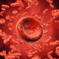 Hemoglobin – krevní barvivo